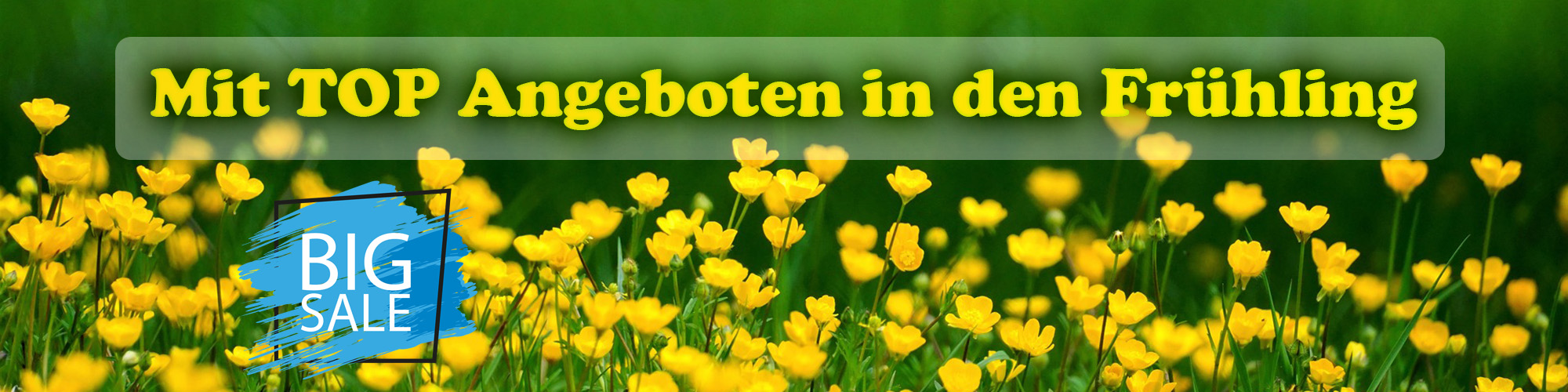 Mit TOP Hubwagen Angeboten von Staplerlift in den Frühling