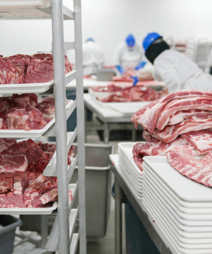 Edelstahl im Hygieneberiech in der Fleischverarbeitung Produktionsbereich von Fleischerzeugnissen im Hygienebereich